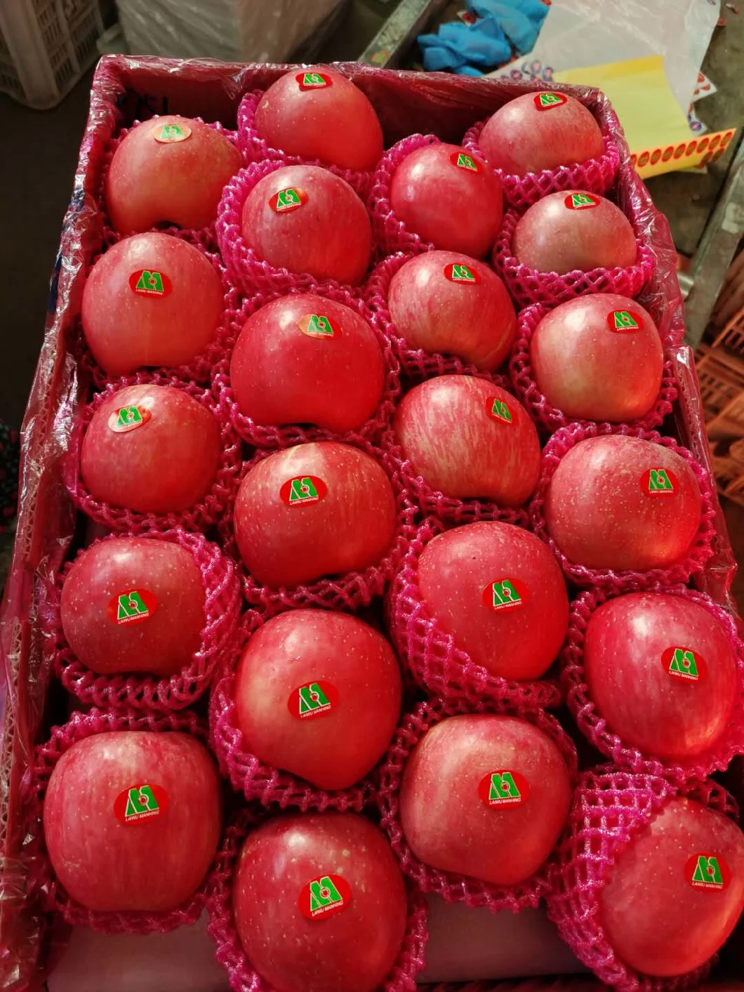 China Fruit Fresh Full Red FUJI Apple
