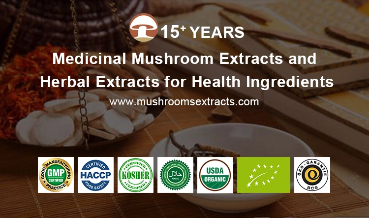 Organic Hericium Erinaceus Mushroon Extract Lions Mane Mushroom Powder Lion′s Mane Extract Powder
