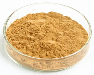 Hericium Erinaceus Extract 25% Polysaccharides for Functional Food