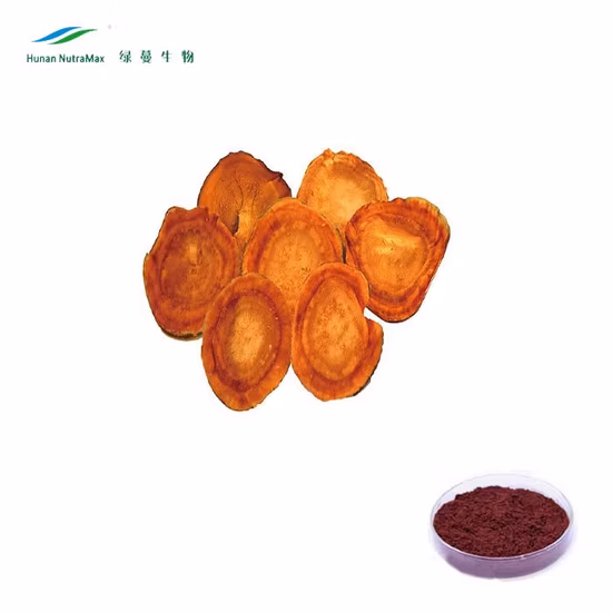 Polvere di estratto di cinnamomea di Antrodia completamente naturale/estratto di canforata di Antrodia per malattie cardiovascolari