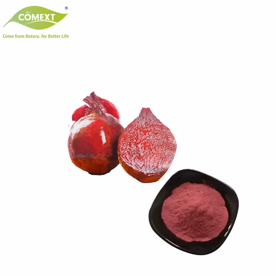 Polvere di barbabietola, estratto vegetale naturale