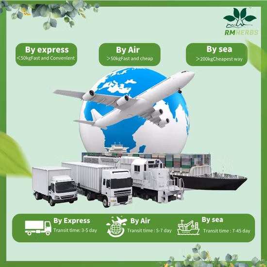 Polvere di estratto di barbabietola da frutta vegetale naturale all'ingrosso a prezzo di fabbrica